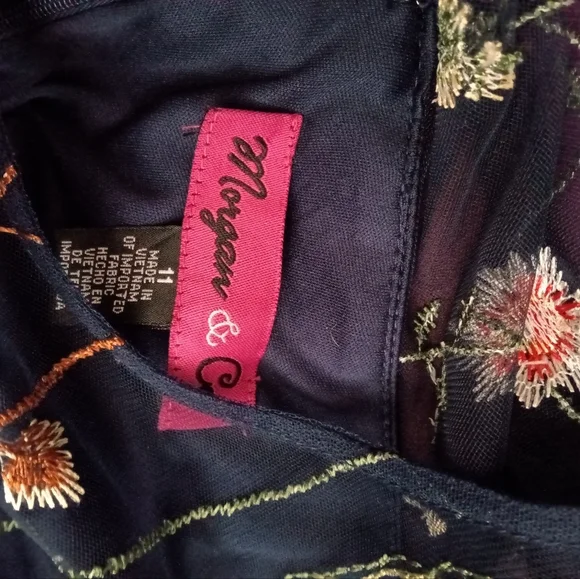 Morgan & Co's Embroidered Fit and Flare Dress - Picture 6 of 7